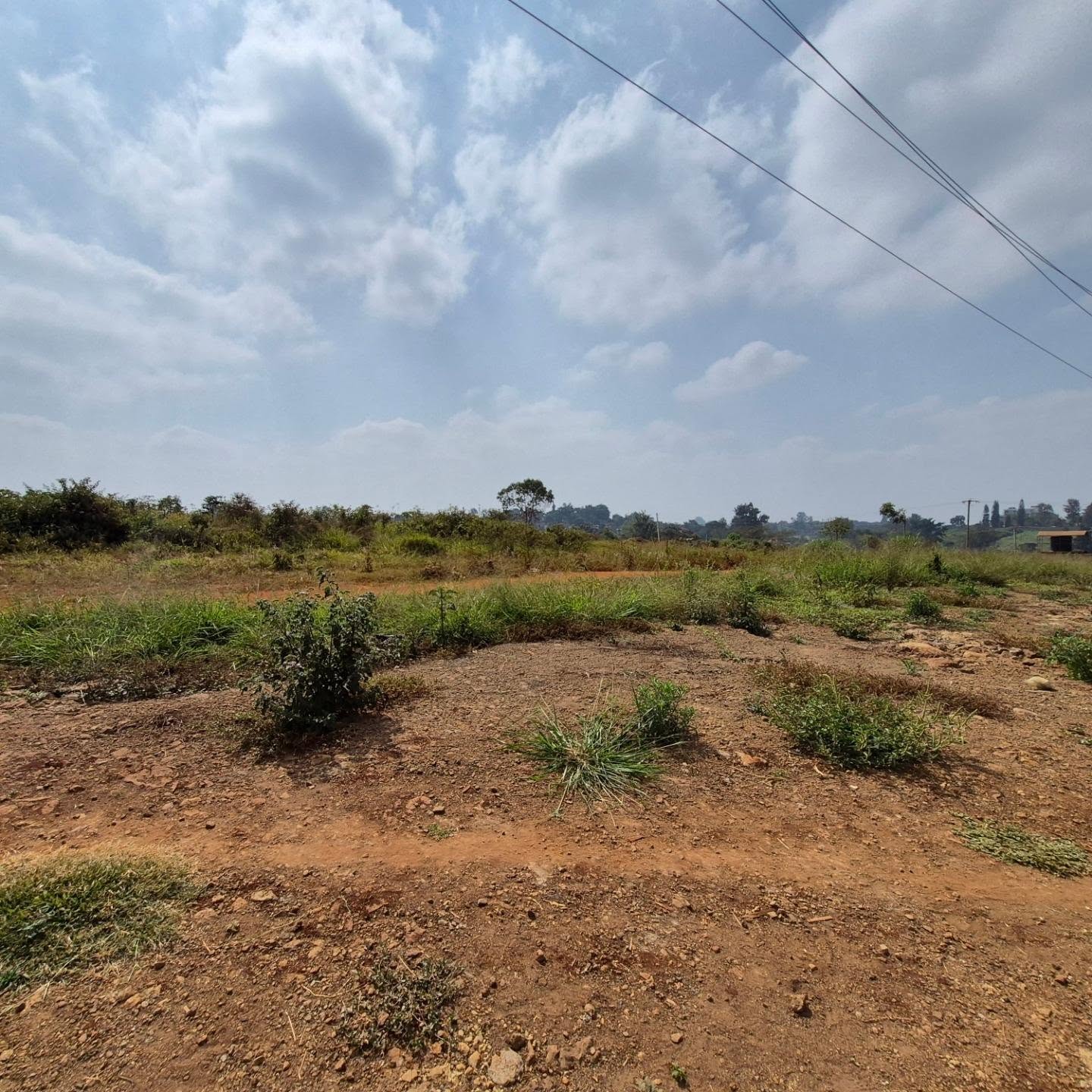 Prime Land for Sale in Runda thumbnail 2