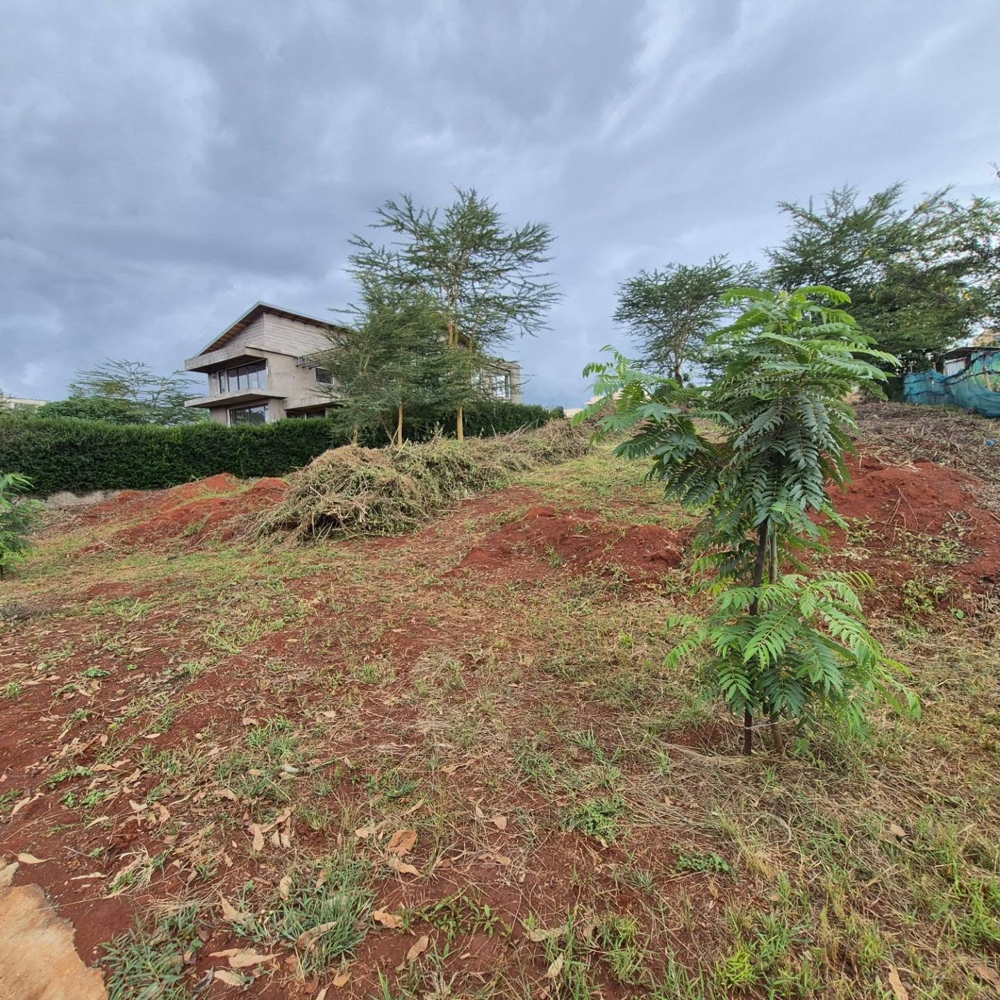Plots for Sale in Kiambu thumbnail 6