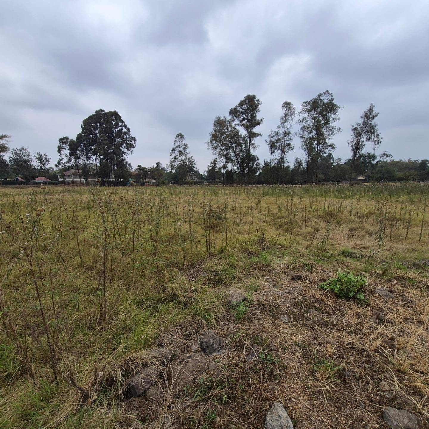 Half Acre Plot For Sale In Nairobi — Garden Estate Nairobi, Nairobi