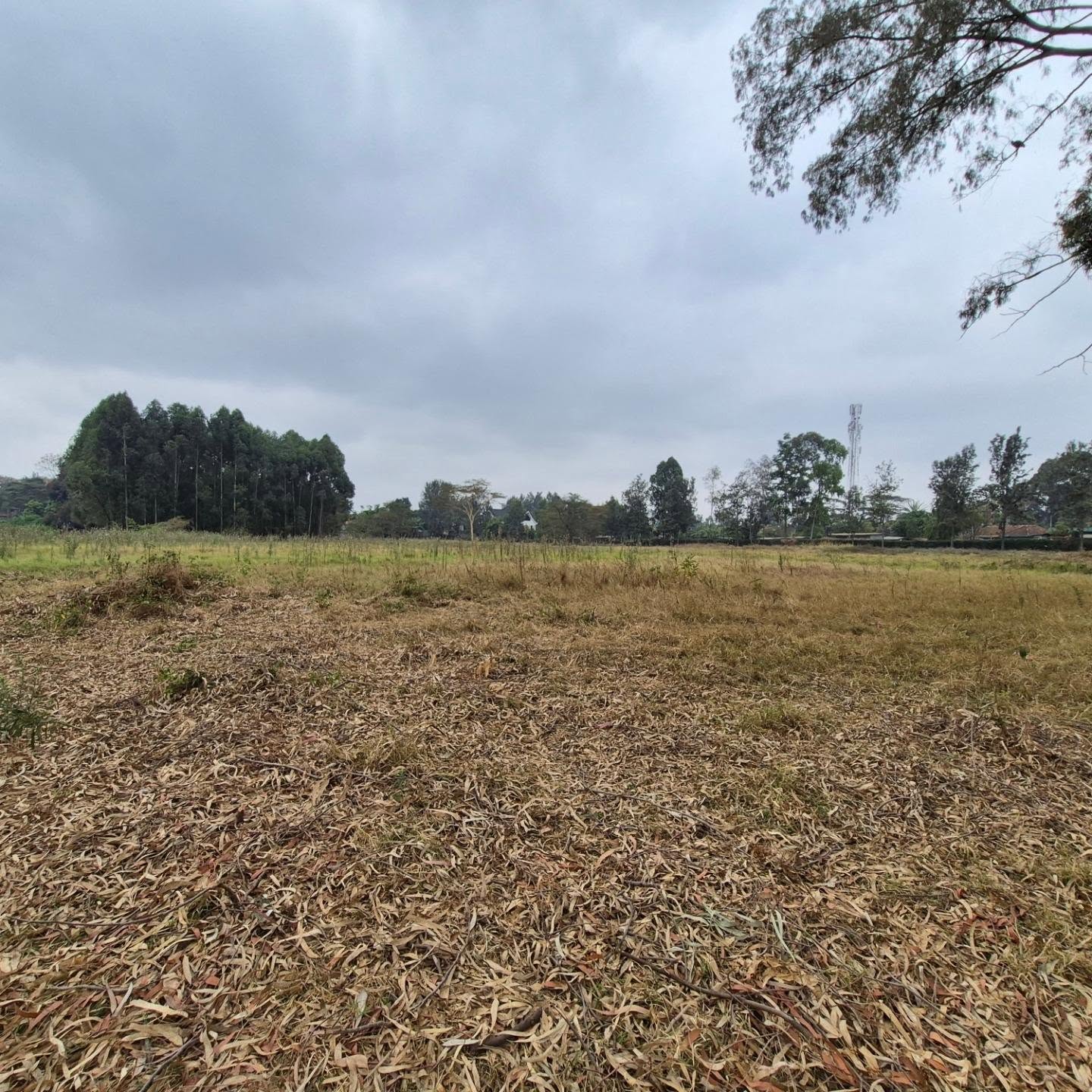 Half Acre Plot For Sale In Nairobi thumbnail 2