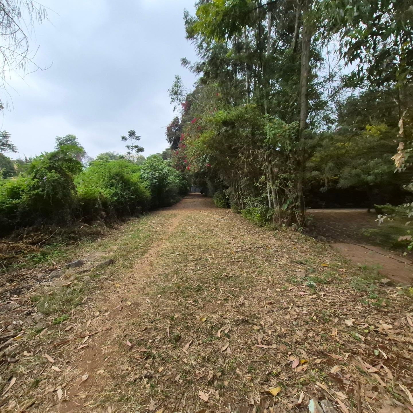 Half Acre Plot For Sale In Nairobi thumbnail 6