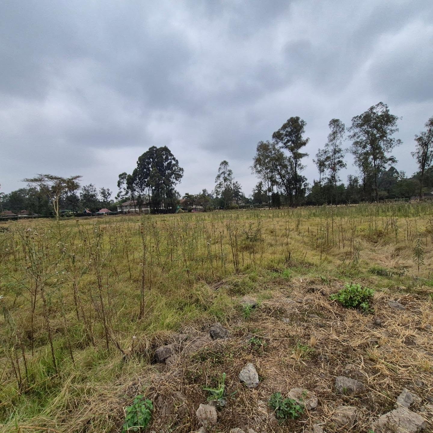 Half Acre Plot For Sale In Nairobi thumbnail 8