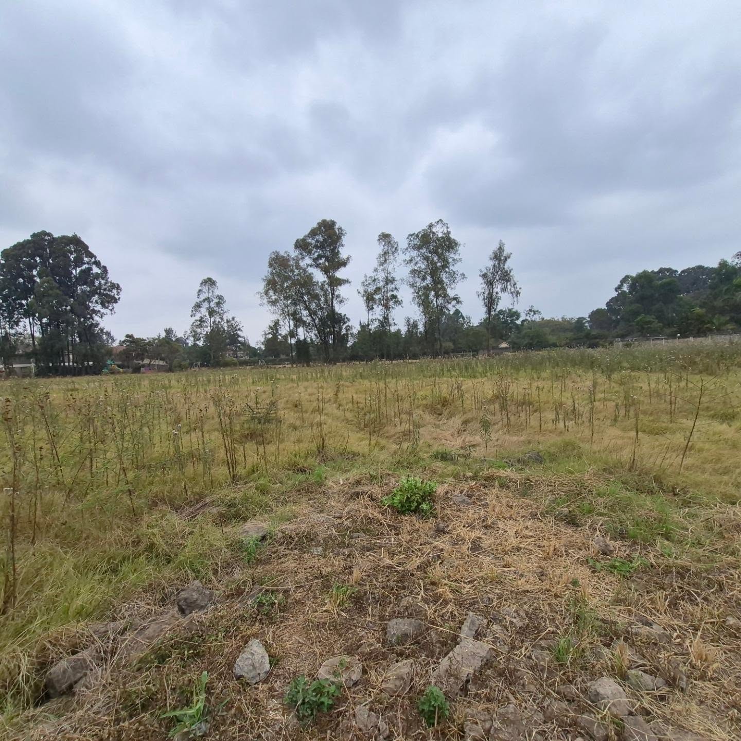 Half Acre Plot For Sale In Nairobi thumbnail 10