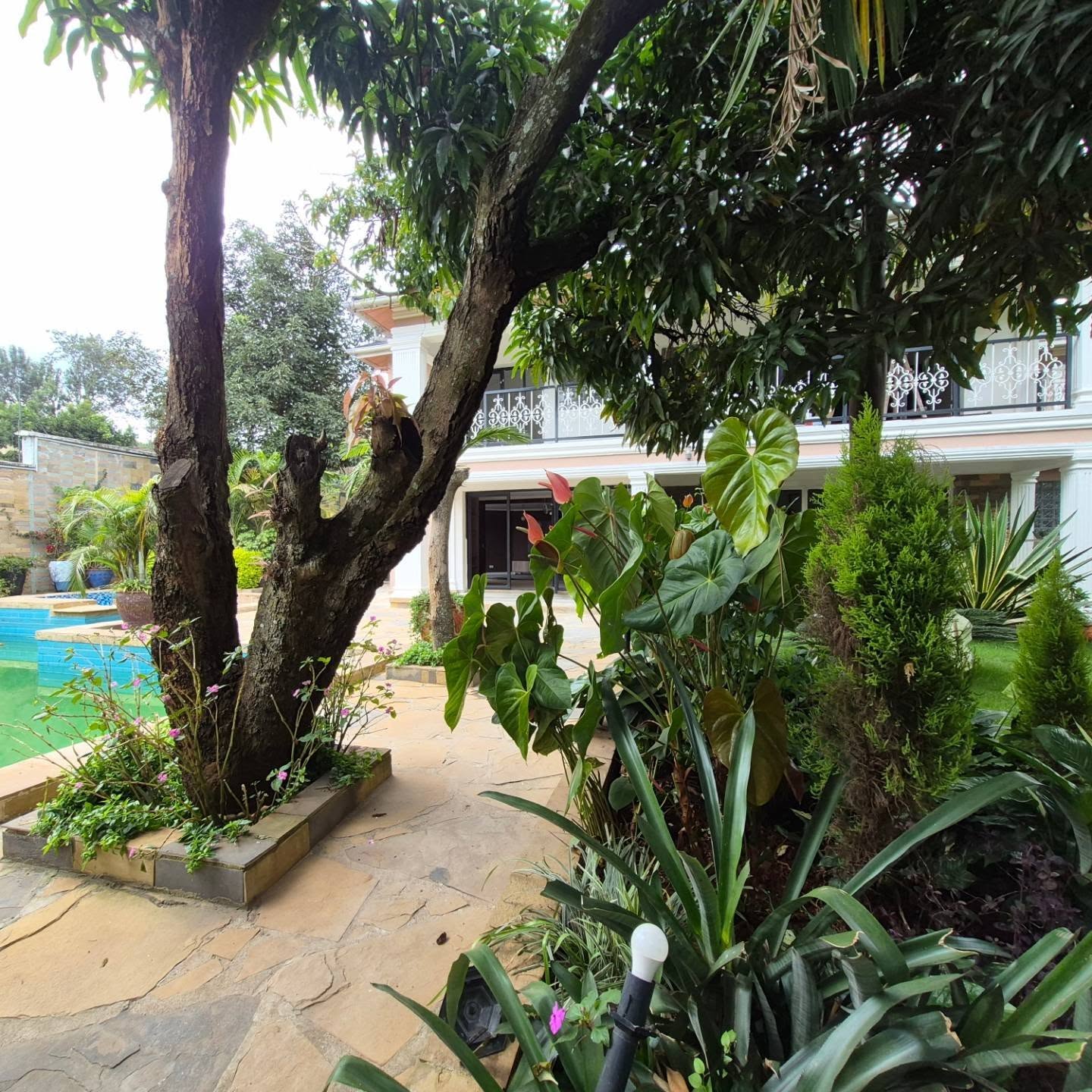 5 bedrooms Ambassadorial House For Rent in Runda Nairobi thumbnail 5