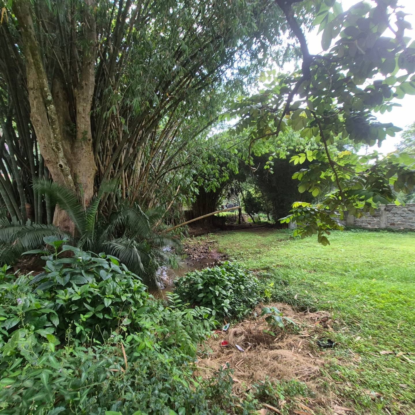 1 acre land for sale in Thigiri thumbnail 3