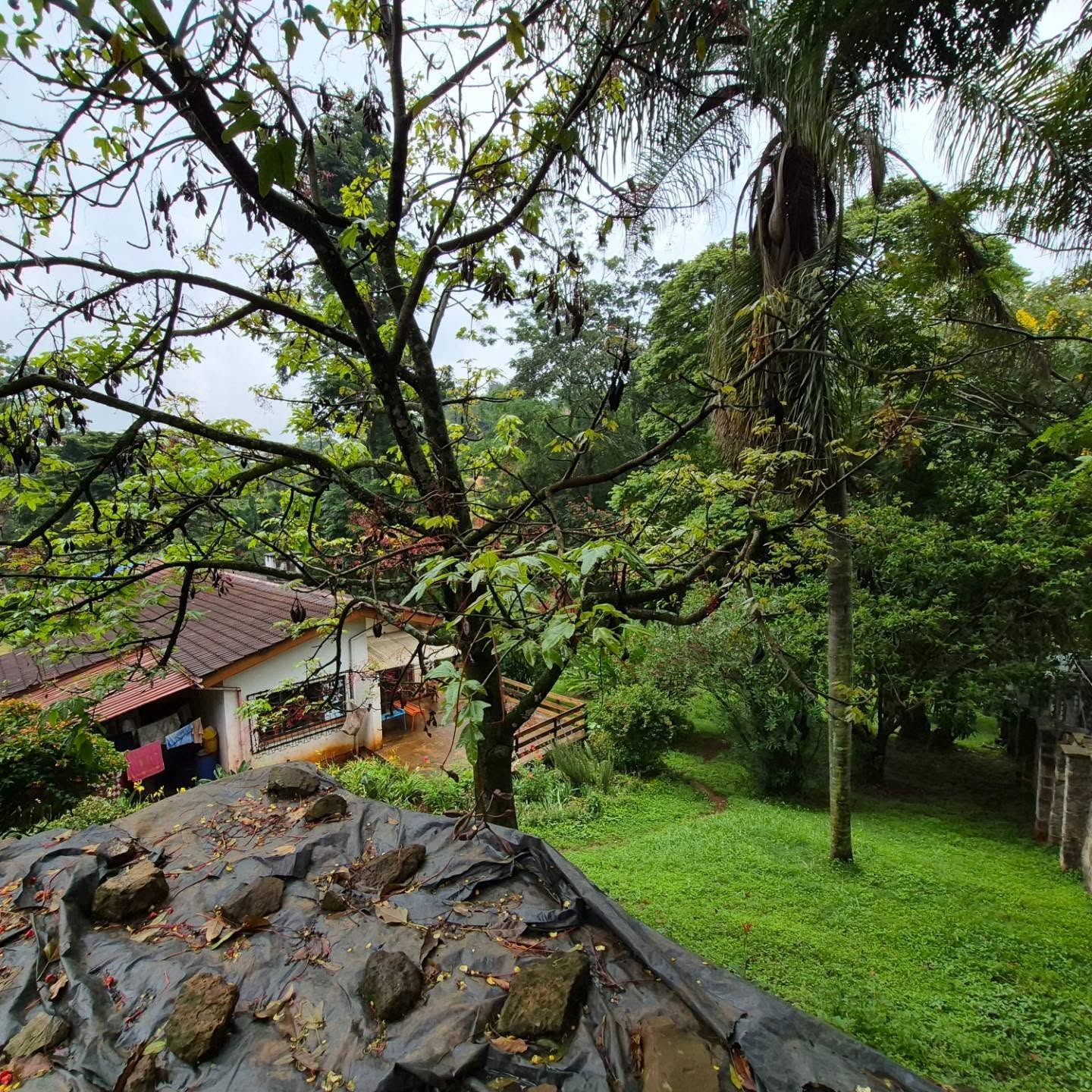1 acre land for sale in Thigiri thumbnail 4