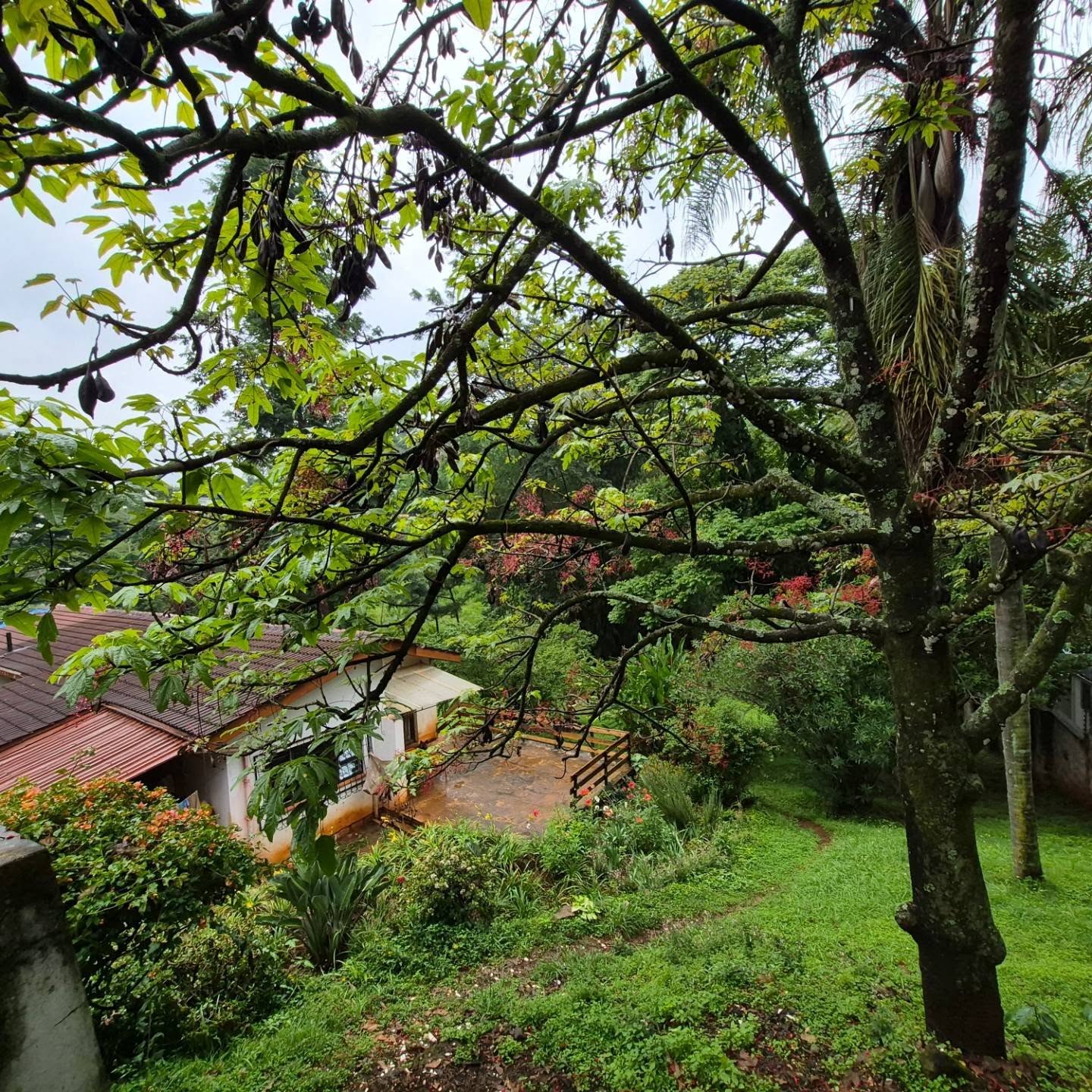 1 acre land for sale in Thigiri thumbnail 7
