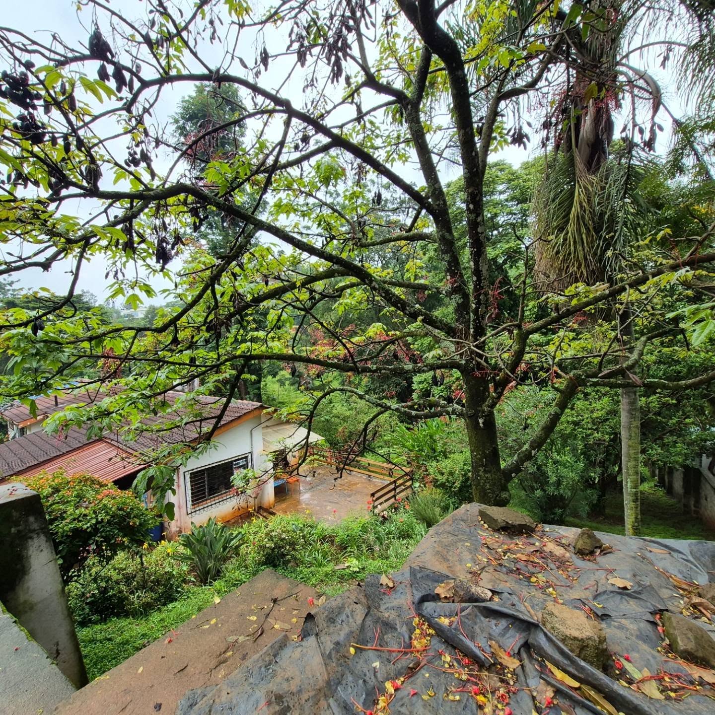 1 acre land for sale in Thigiri thumbnail 9