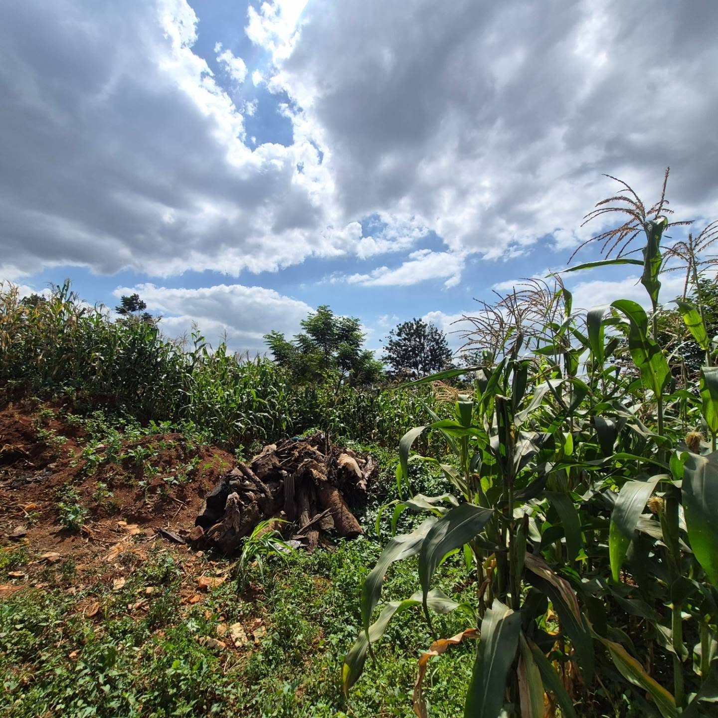 2 Acres Land for Sale thumbnail 3