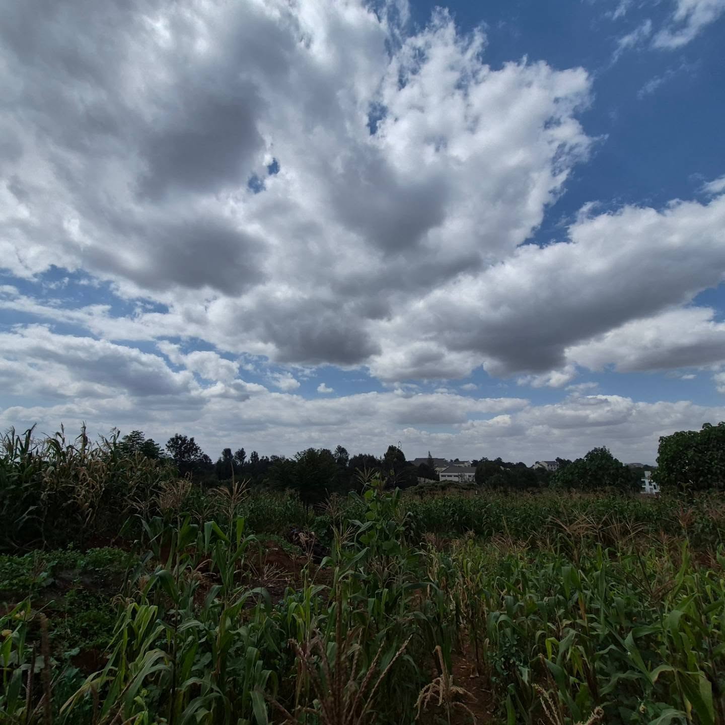 2 Acres Land for Sale thumbnail 5
