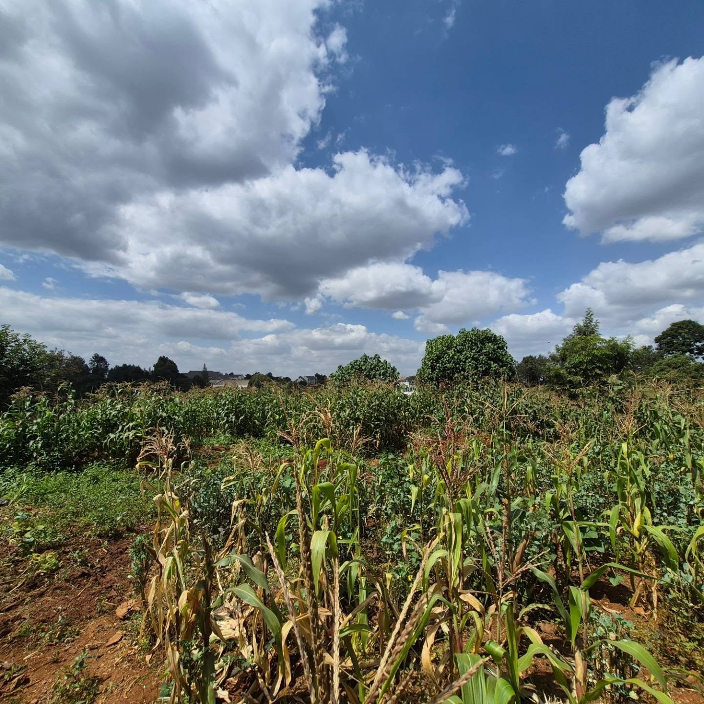2 Acres Land for Sale thumbnail 6