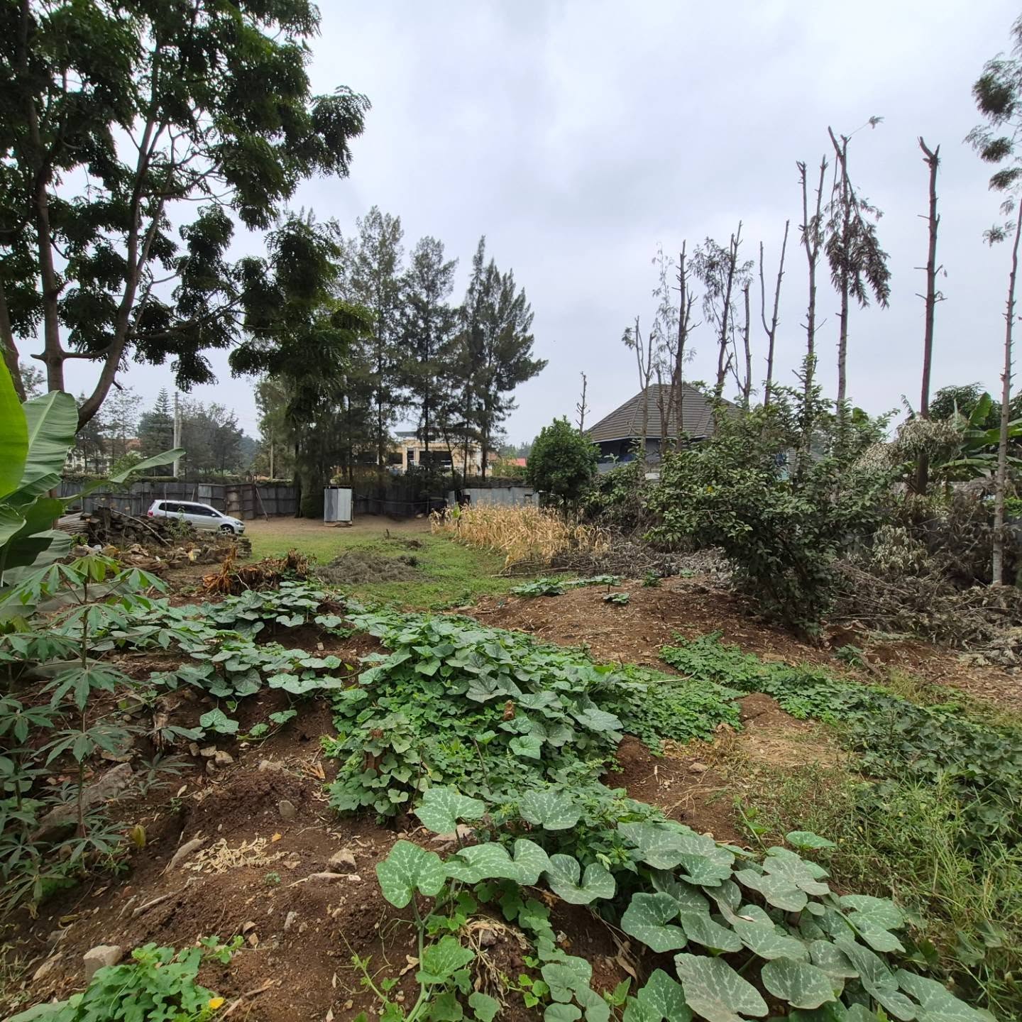 Plot For Sale in Thome Estate — Thome Estate, Nairobi