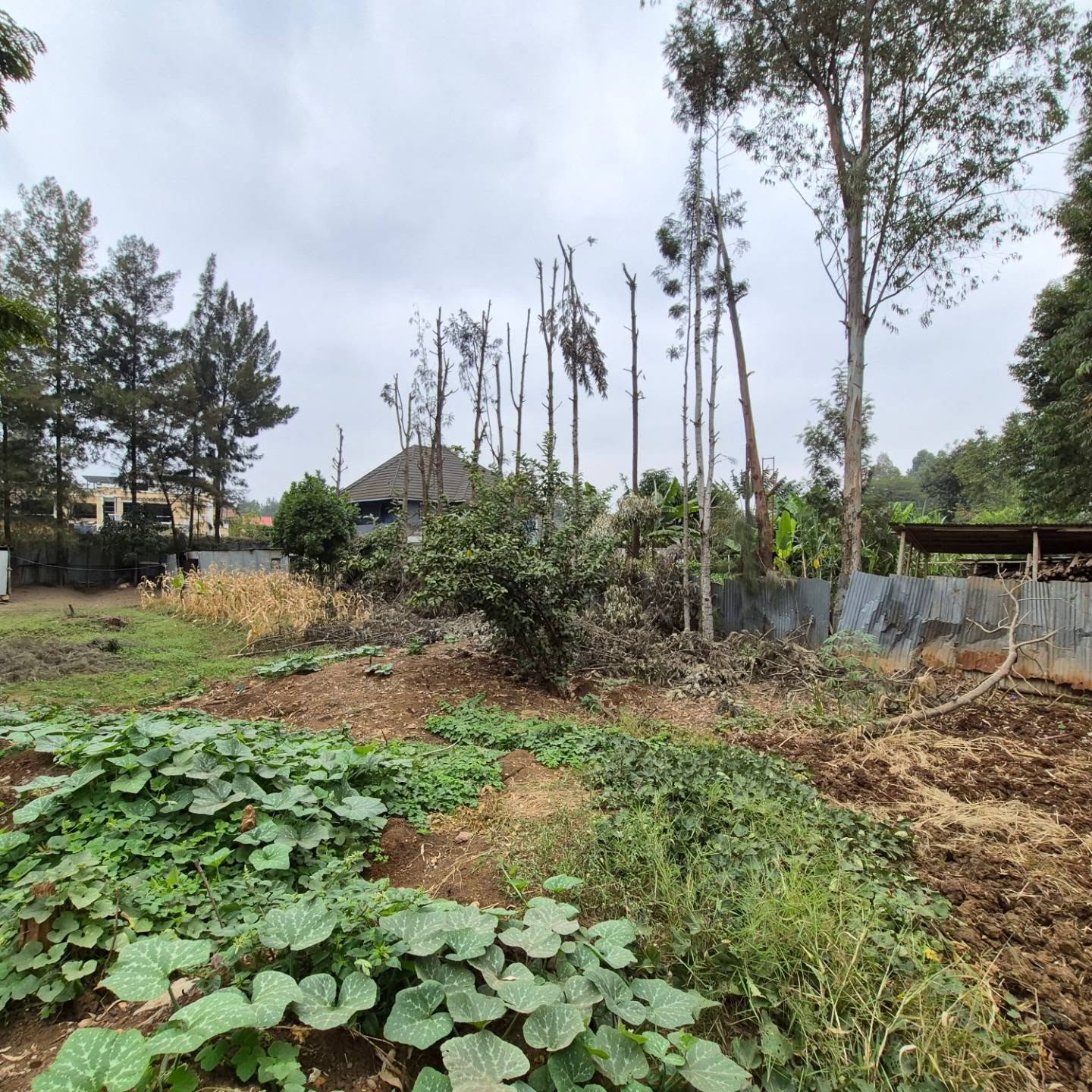 Plot For Sale in Thome Estate thumbnail 2