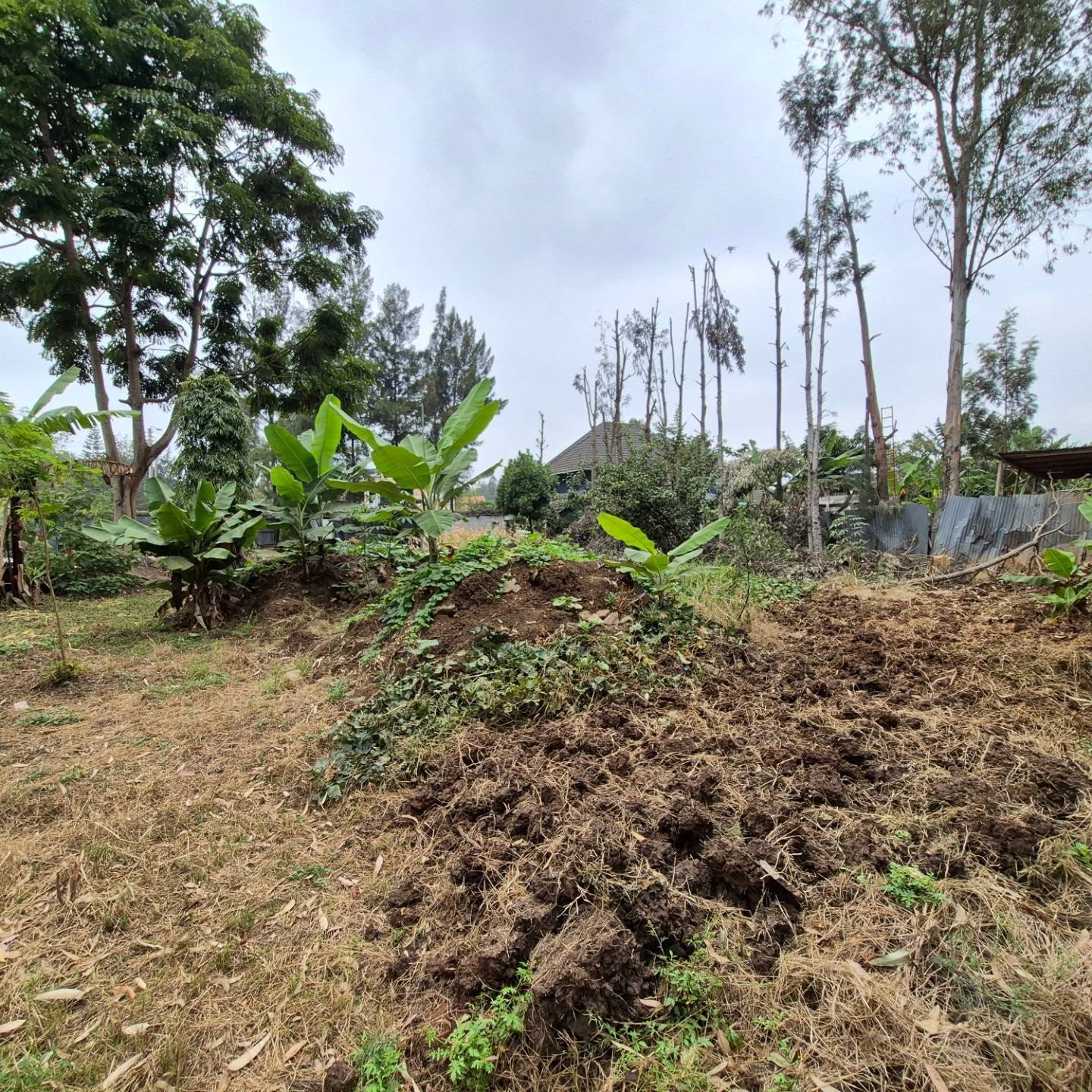 Plot For Sale in Thome Estate thumbnail 3