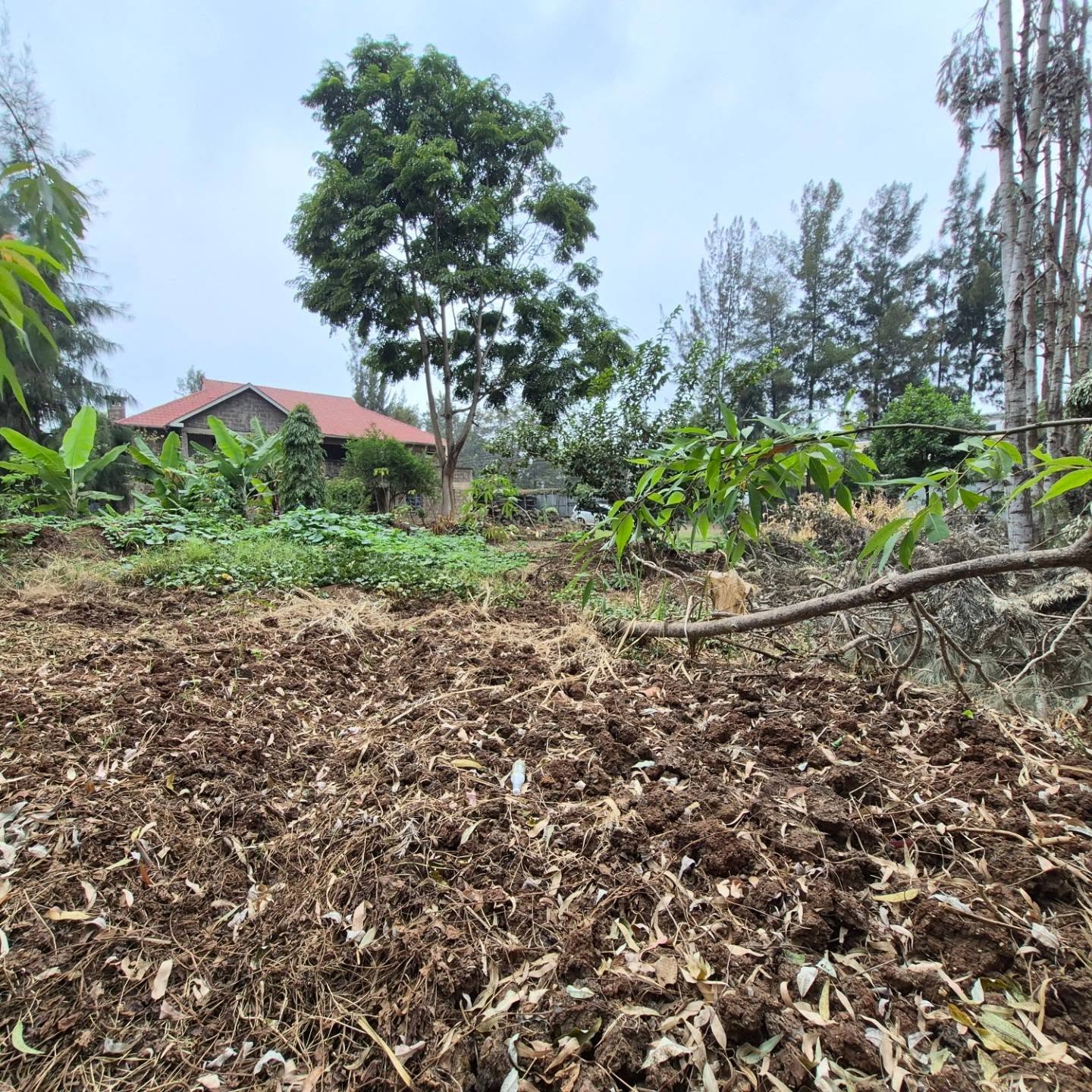 Plot For Sale in Thome Estate thumbnail 4