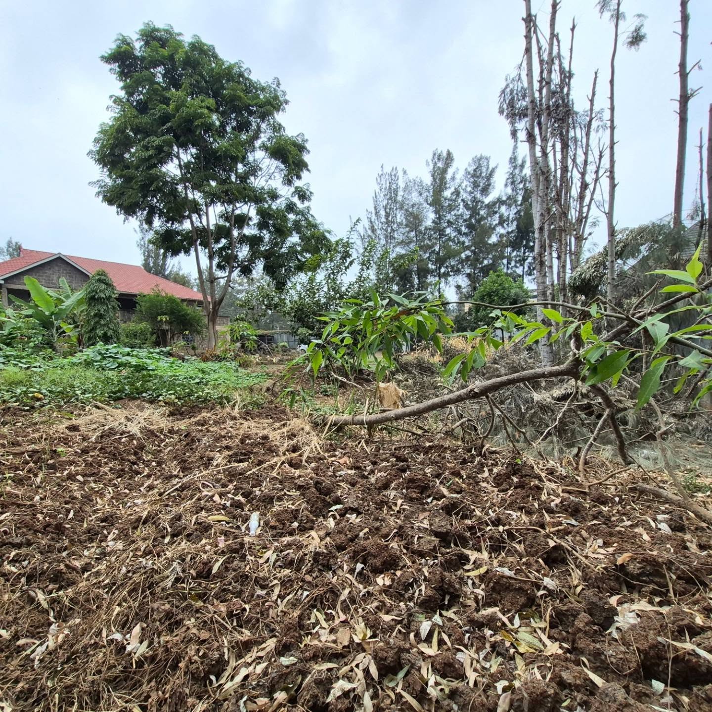 Plot For Sale in Thome Estate thumbnail 5