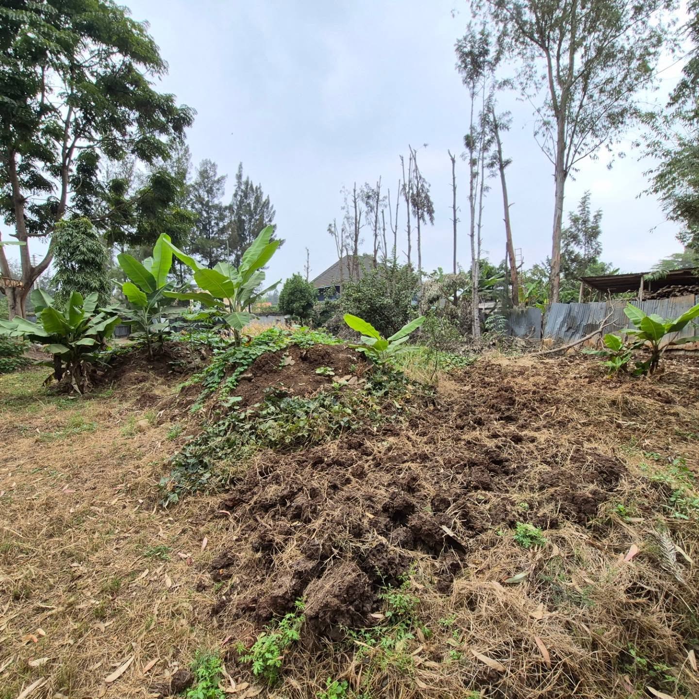 Plot For Sale in Thome Estate thumbnail 6
