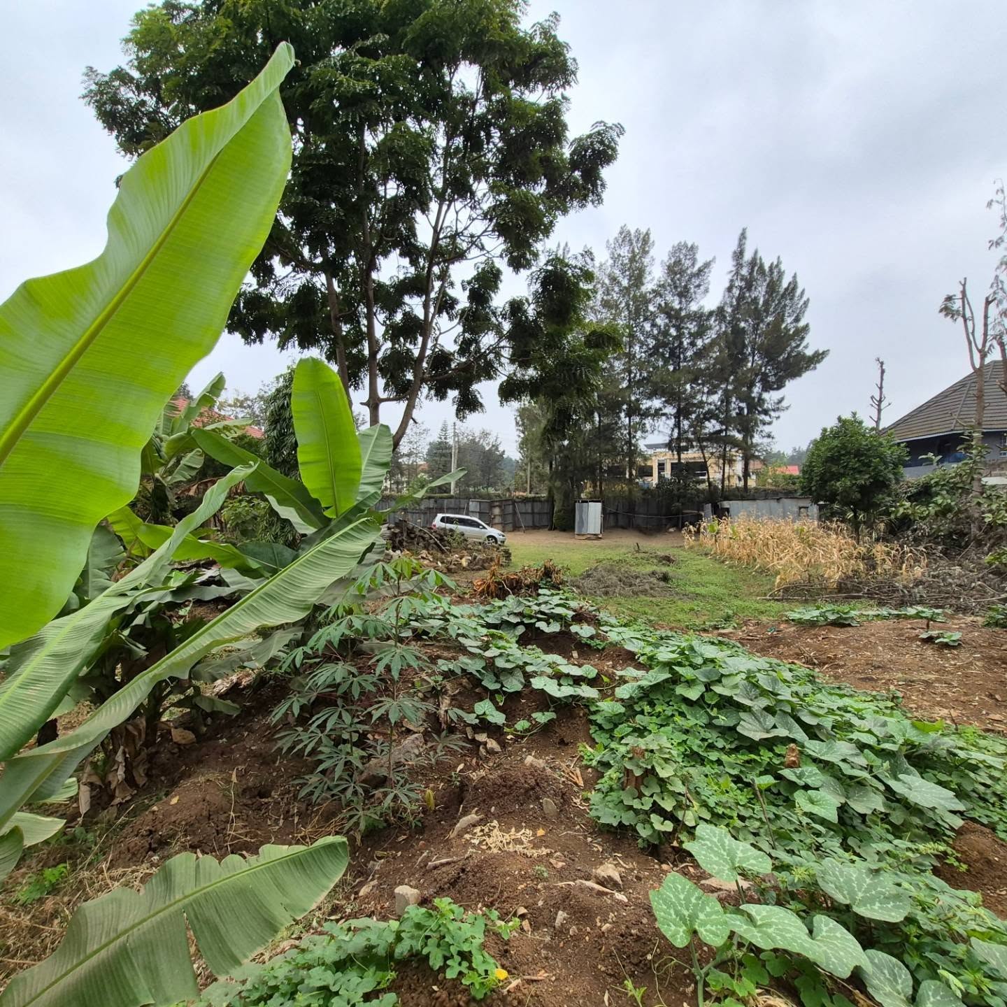 Plot For Sale in Thome Estate thumbnail 7