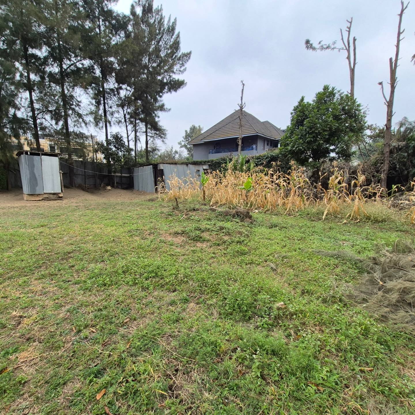 Plot For Sale in Thome Estate thumbnail 9