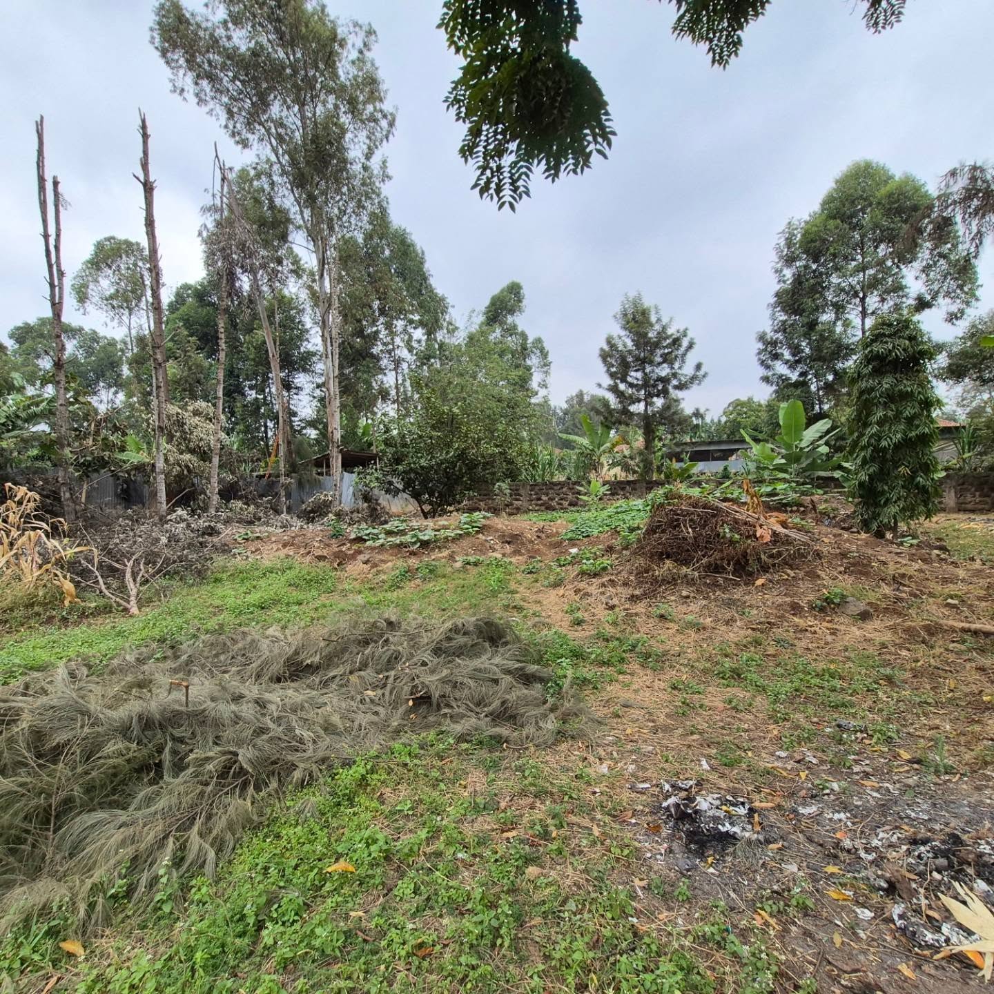 Plot For Sale in Thome Estate thumbnail 10