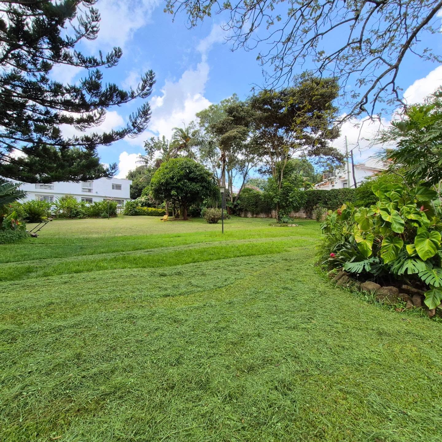 Land For Sale in Thigiri — Nairobi, Nairobi
