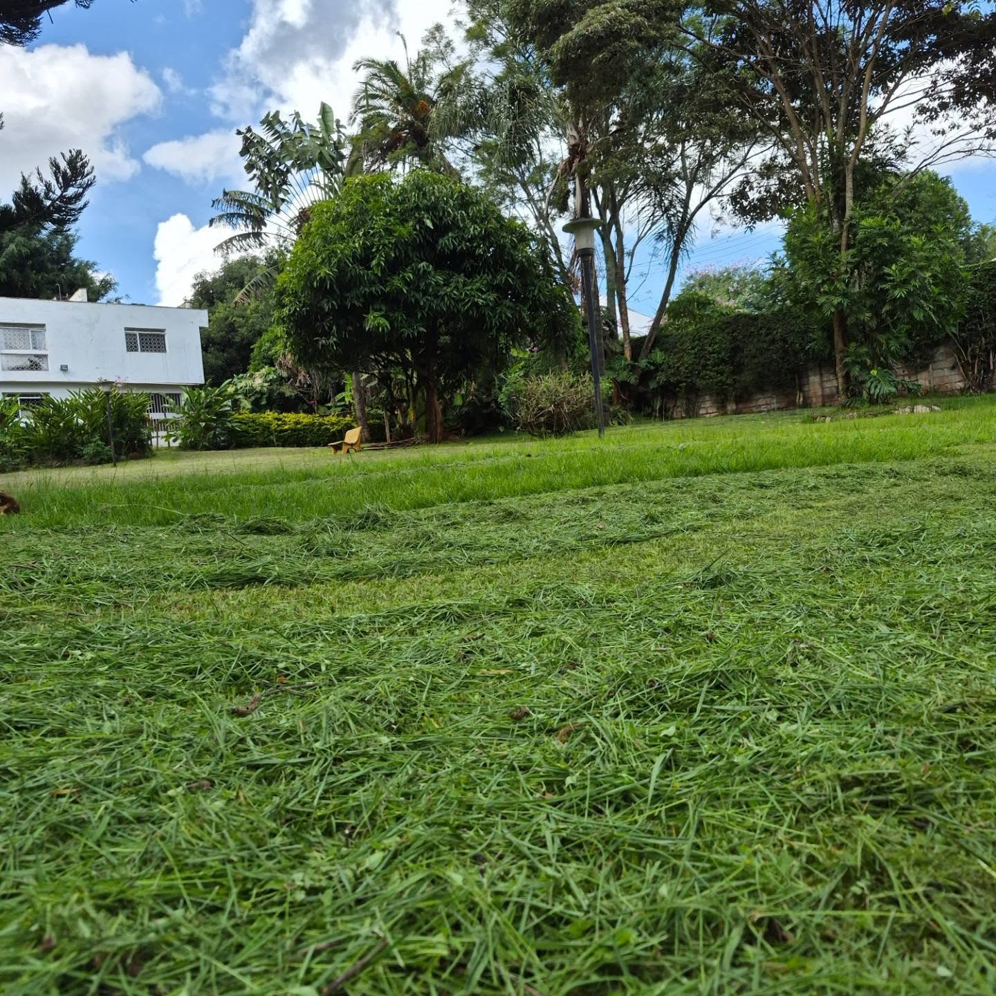 Land For Sale in Thigiri thumbnail 2
