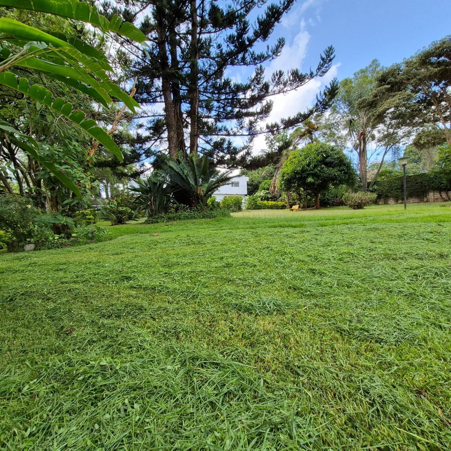 Land For Sale in Thigiri thumbnail 3