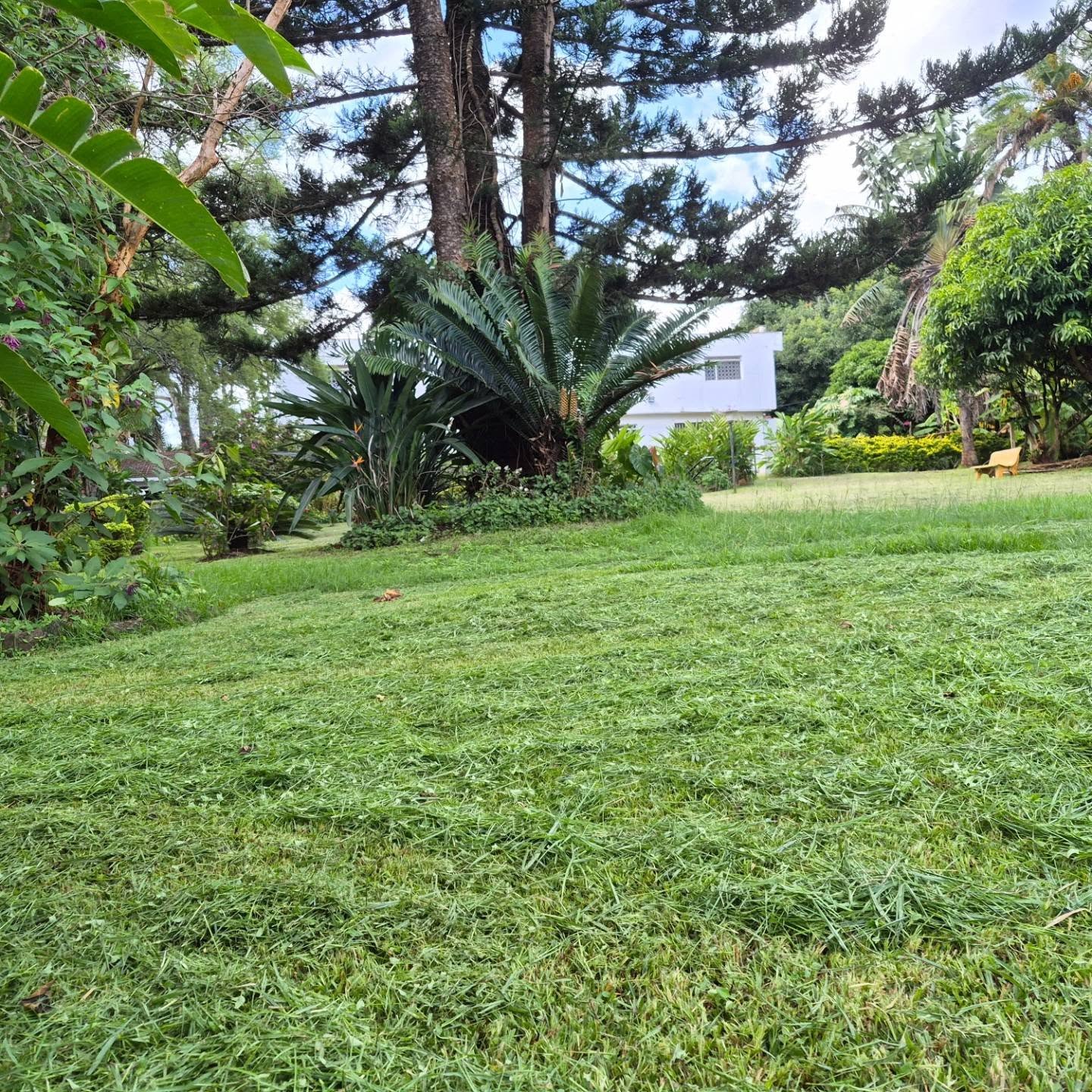 Land For Sale in Thigiri thumbnail 4