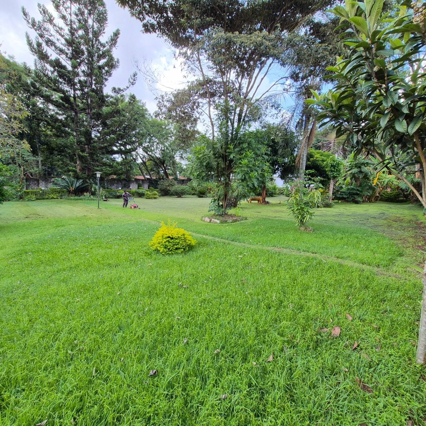 Land For Sale in Thigiri thumbnail 5
