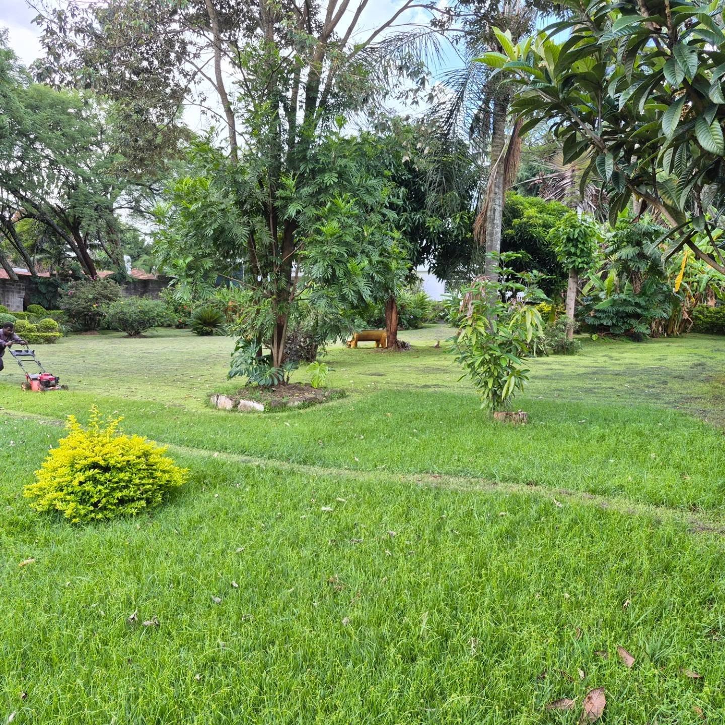 Land For Sale in Thigiri thumbnail 6