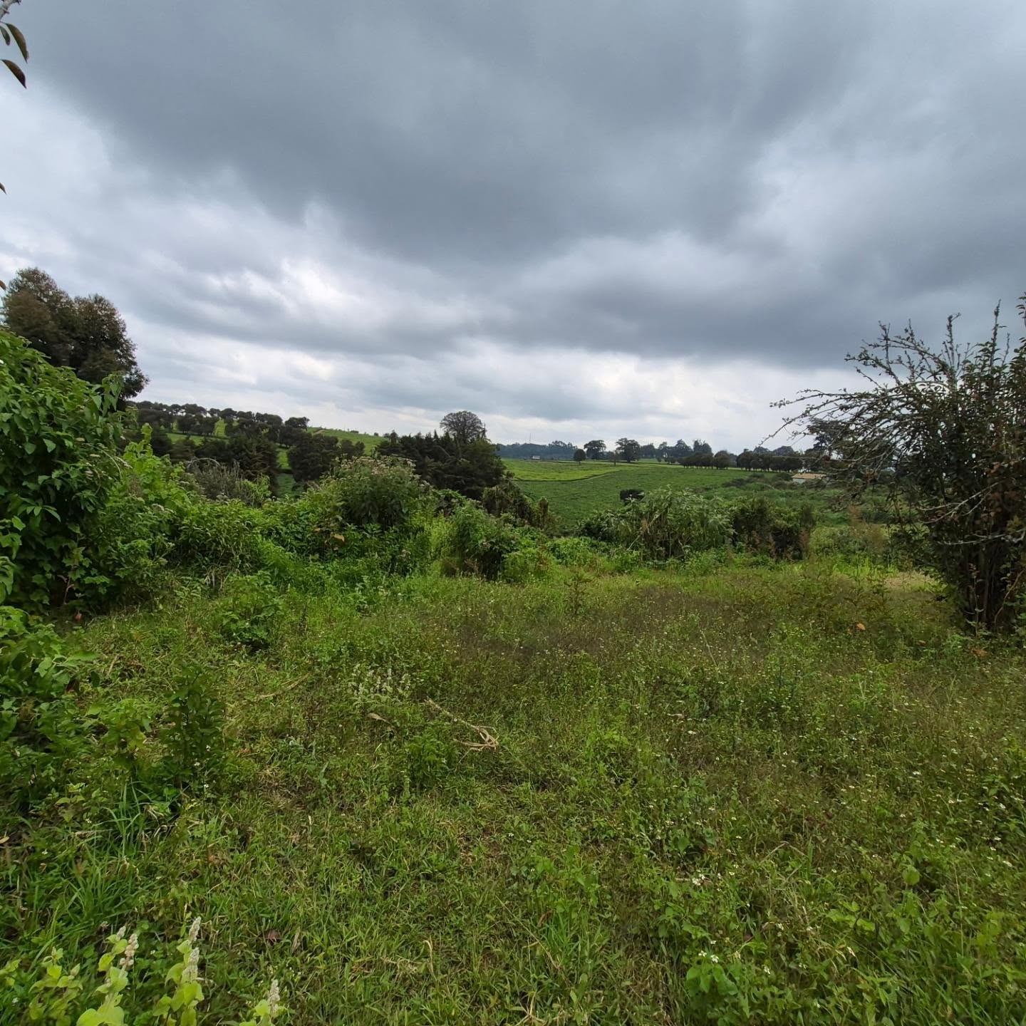 Land For Sale in Tigoni thumbnail 2