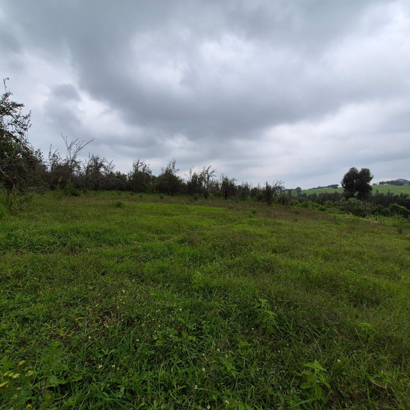 Land For Sale in Tigoni thumbnail 5