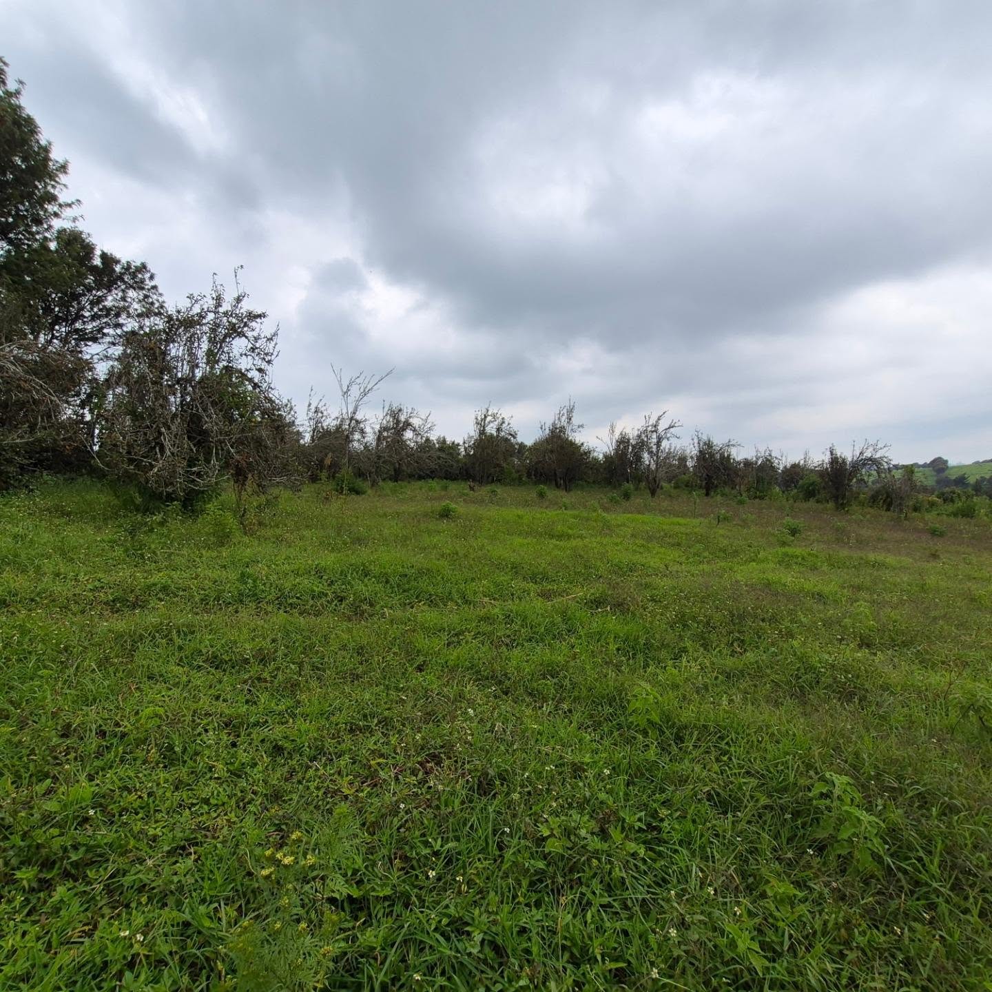 Land For Sale in Tigoni thumbnail 6