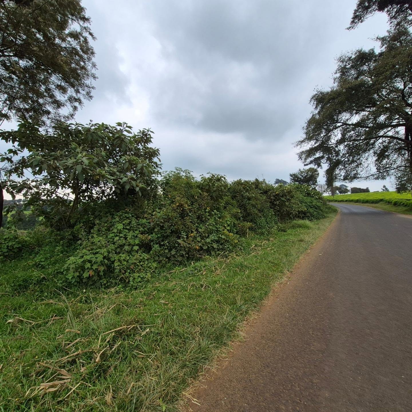 Land For Sale in Tigoni thumbnail 8