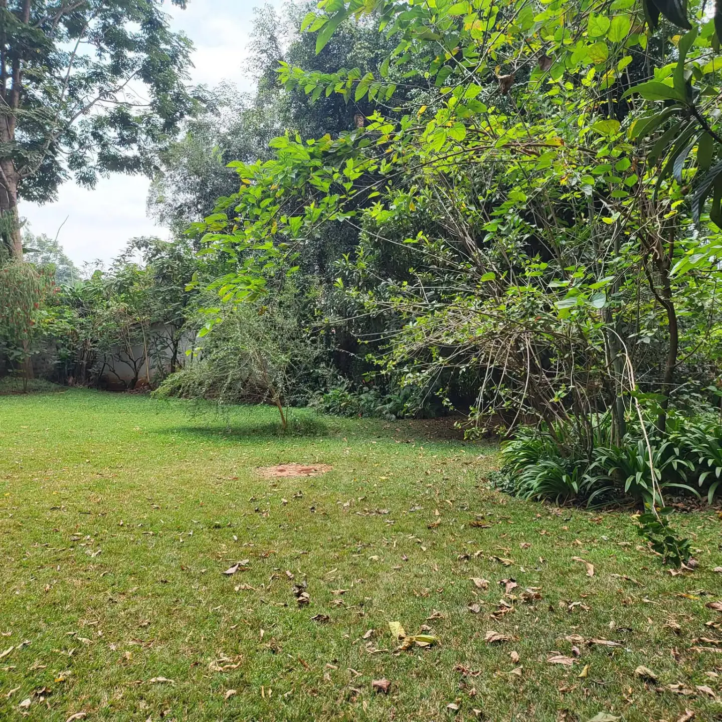 5 Bedroom Townhouse To Let in Nairobi thumbnail 17